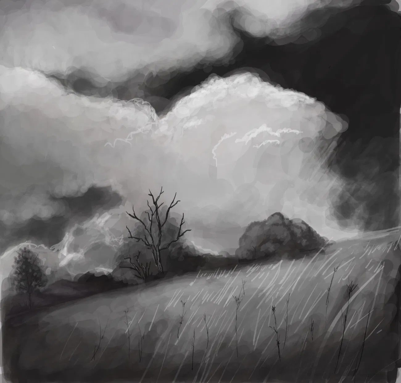 Last malmal 1.0 piece