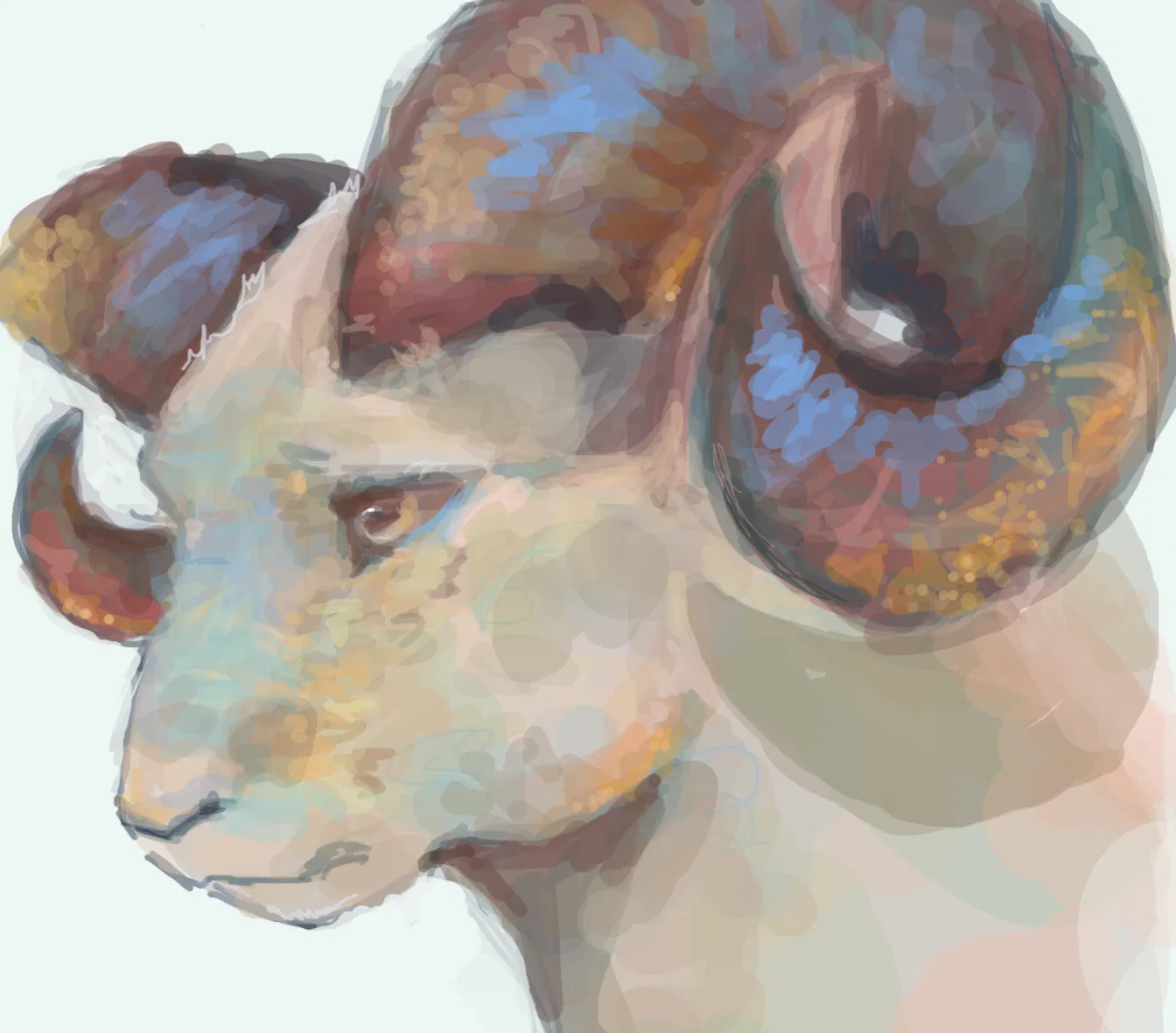 ram