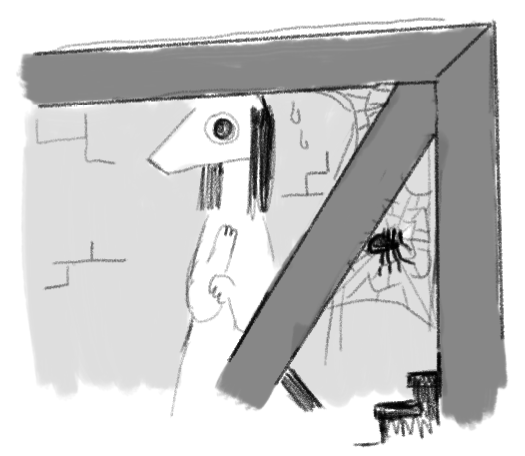 Sploder Native Spooder