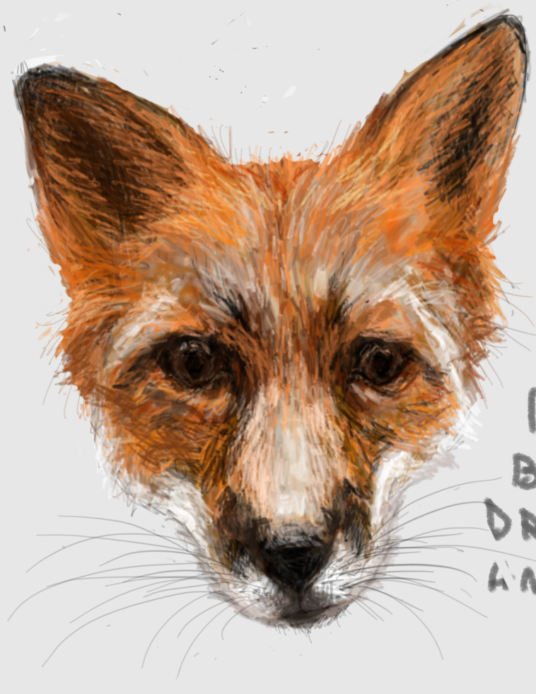 fox