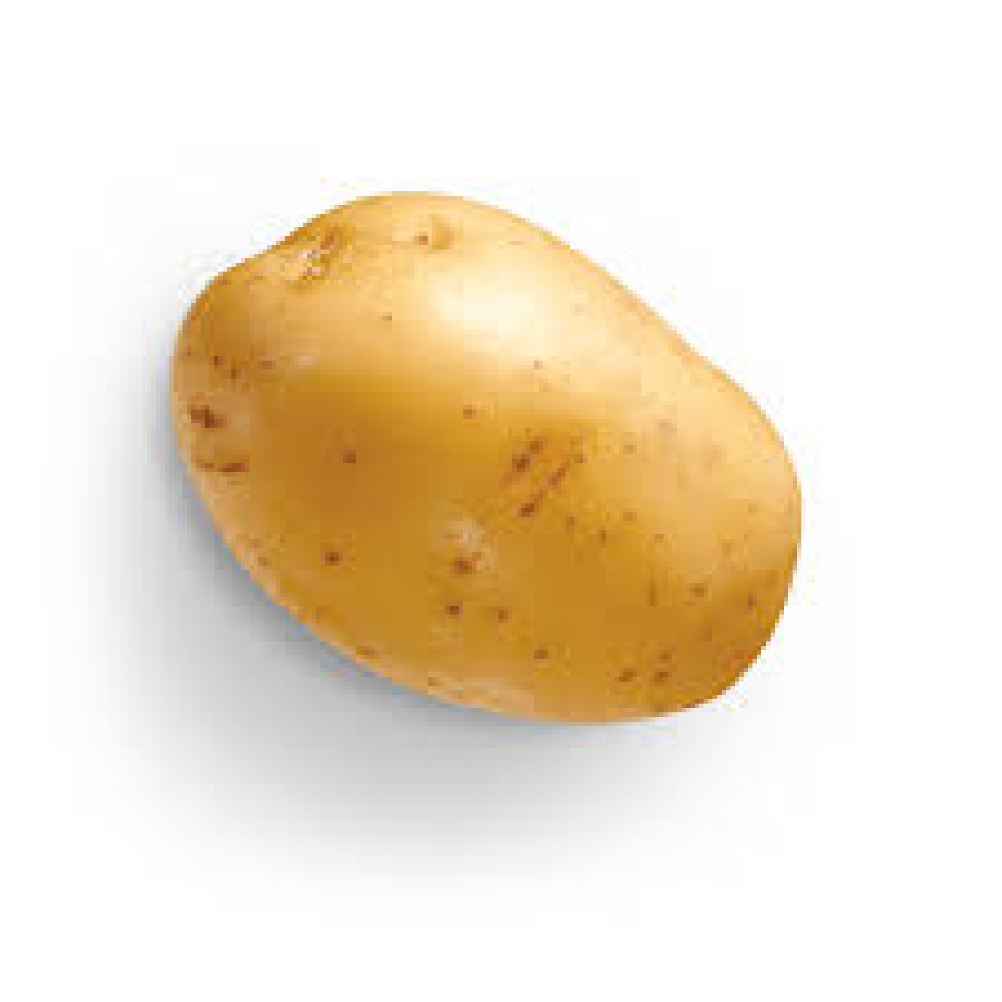 Regular potato 