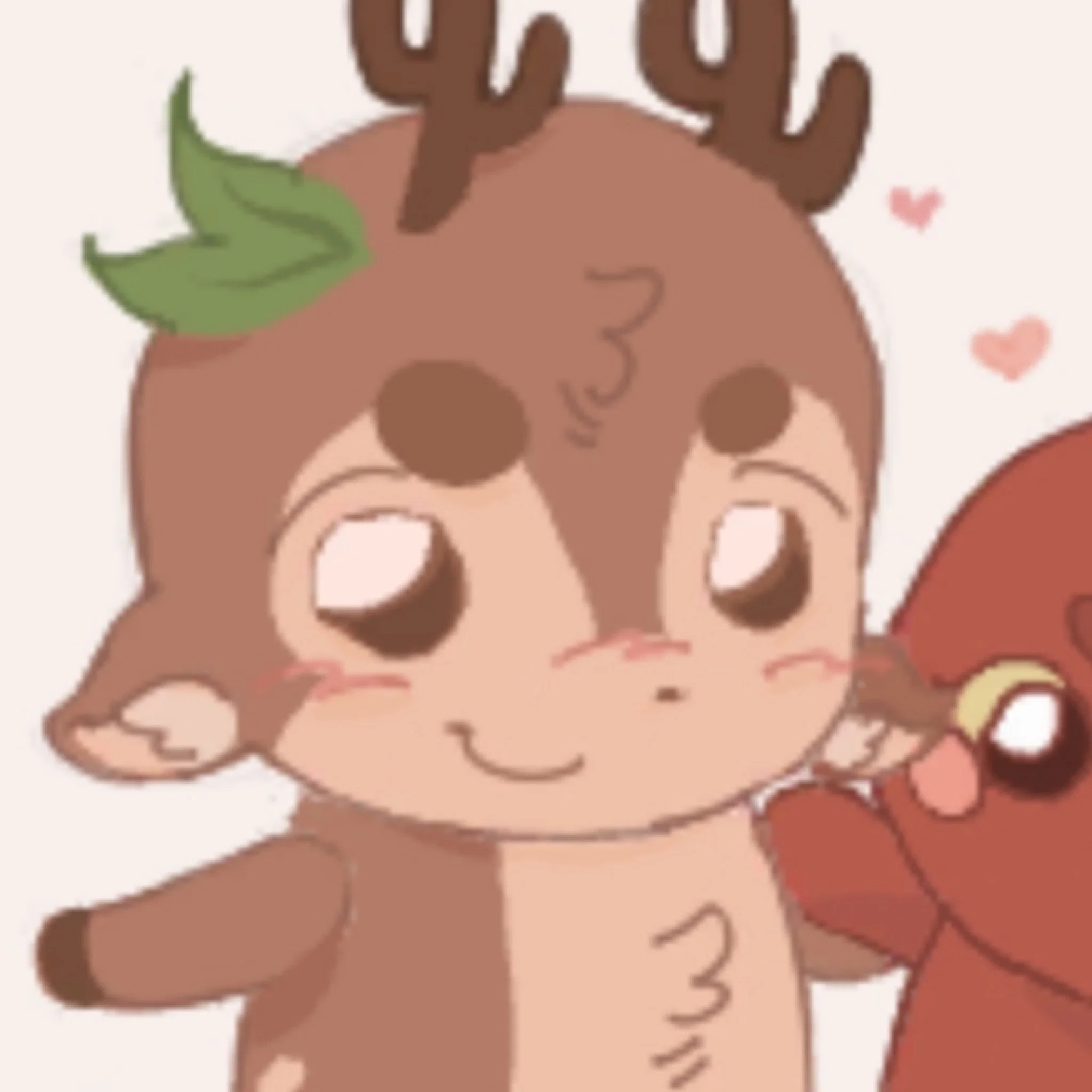 kuri