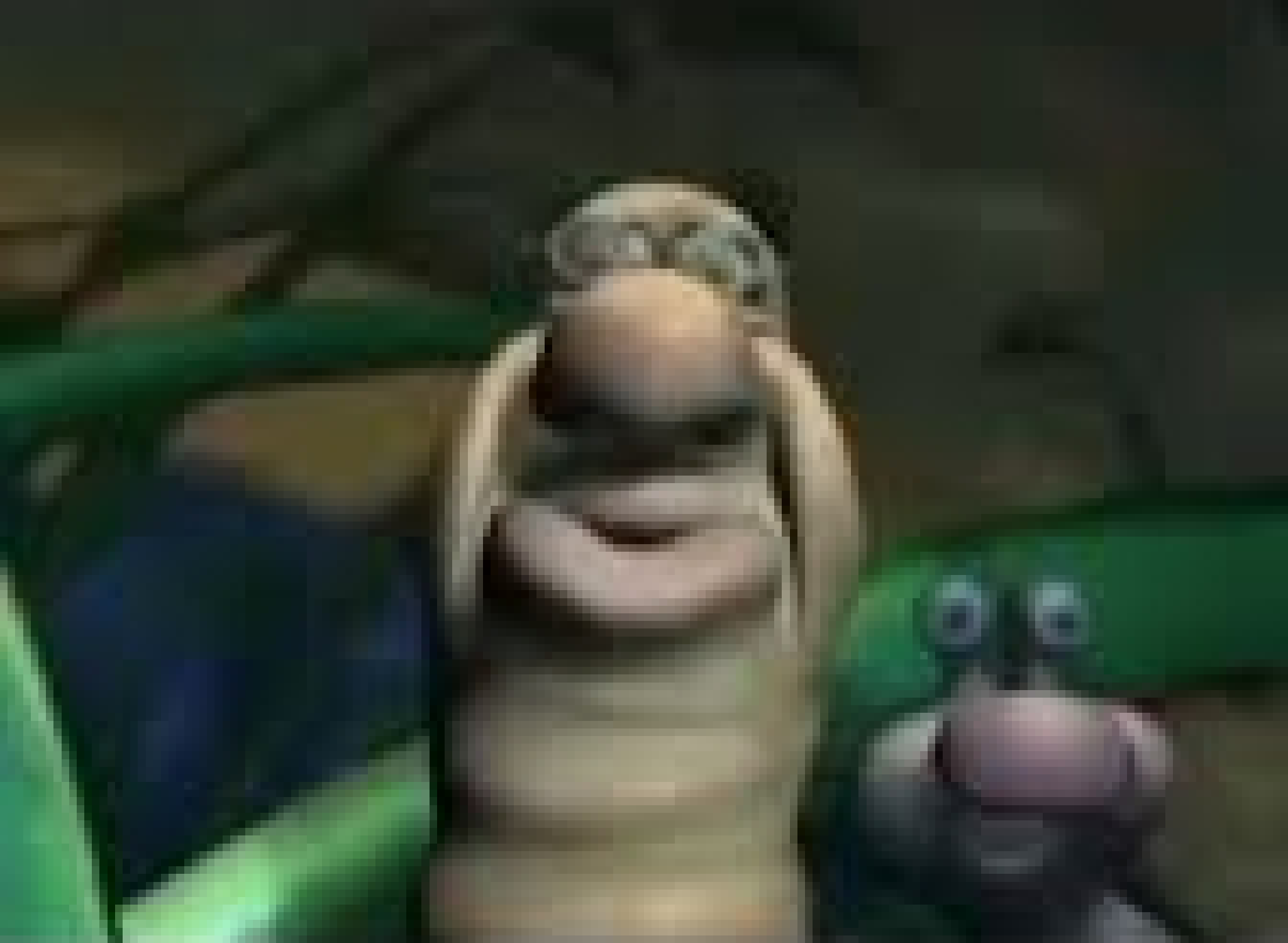 The Angry worm