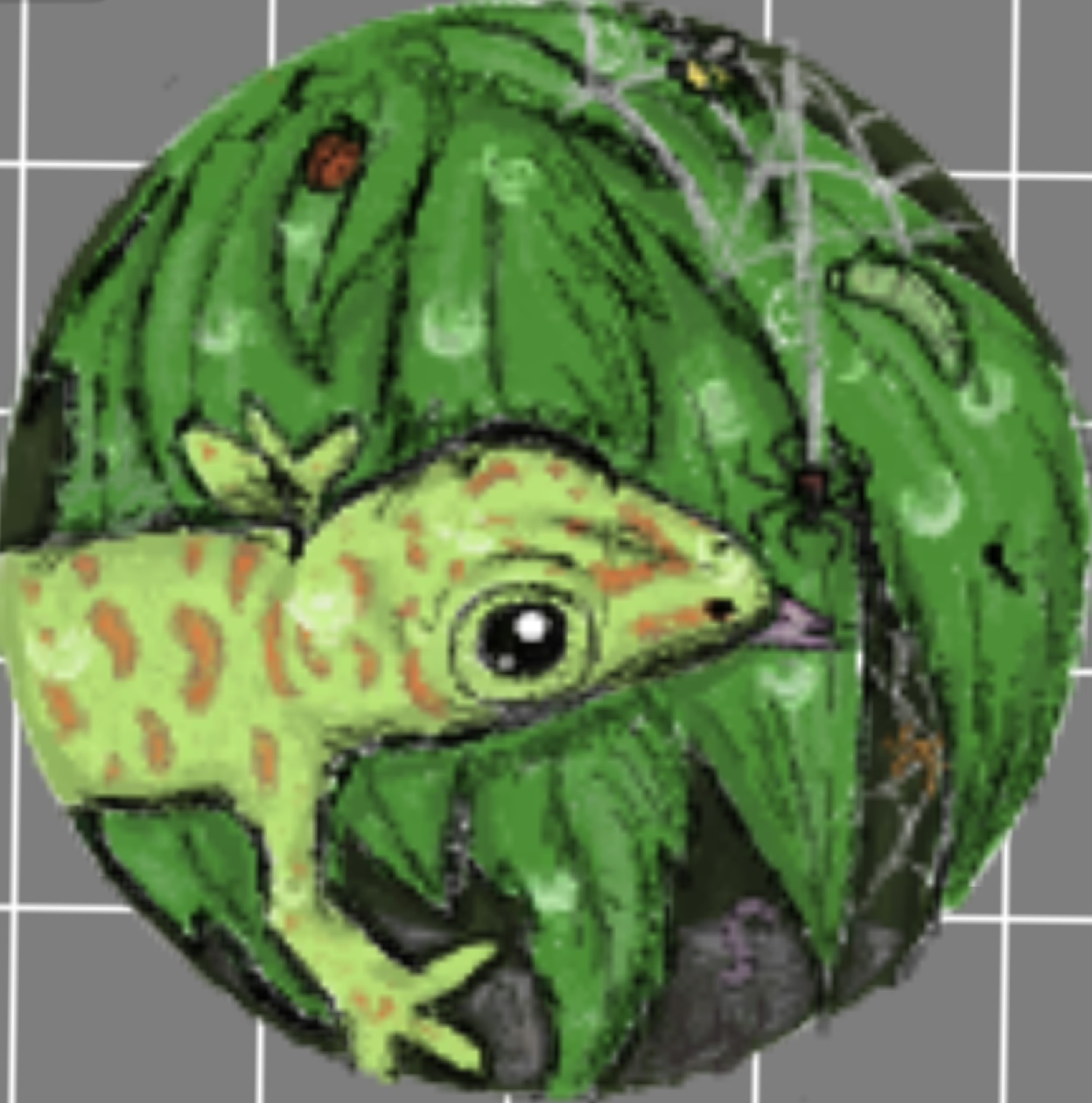 Lizard